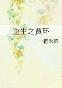 重生贾环重生贾环